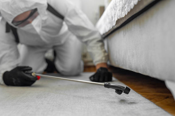 Professional Bed Bug Control technician working in Rockville Centre, NY
