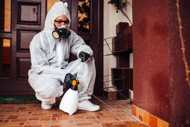 Reliable Bed Bug Control contractor in Rockville Centre, NY by Nex Pest Control