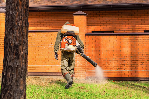 Trusted Bed Bug Control service in Rockville Centre, NY - Nex Pest Control